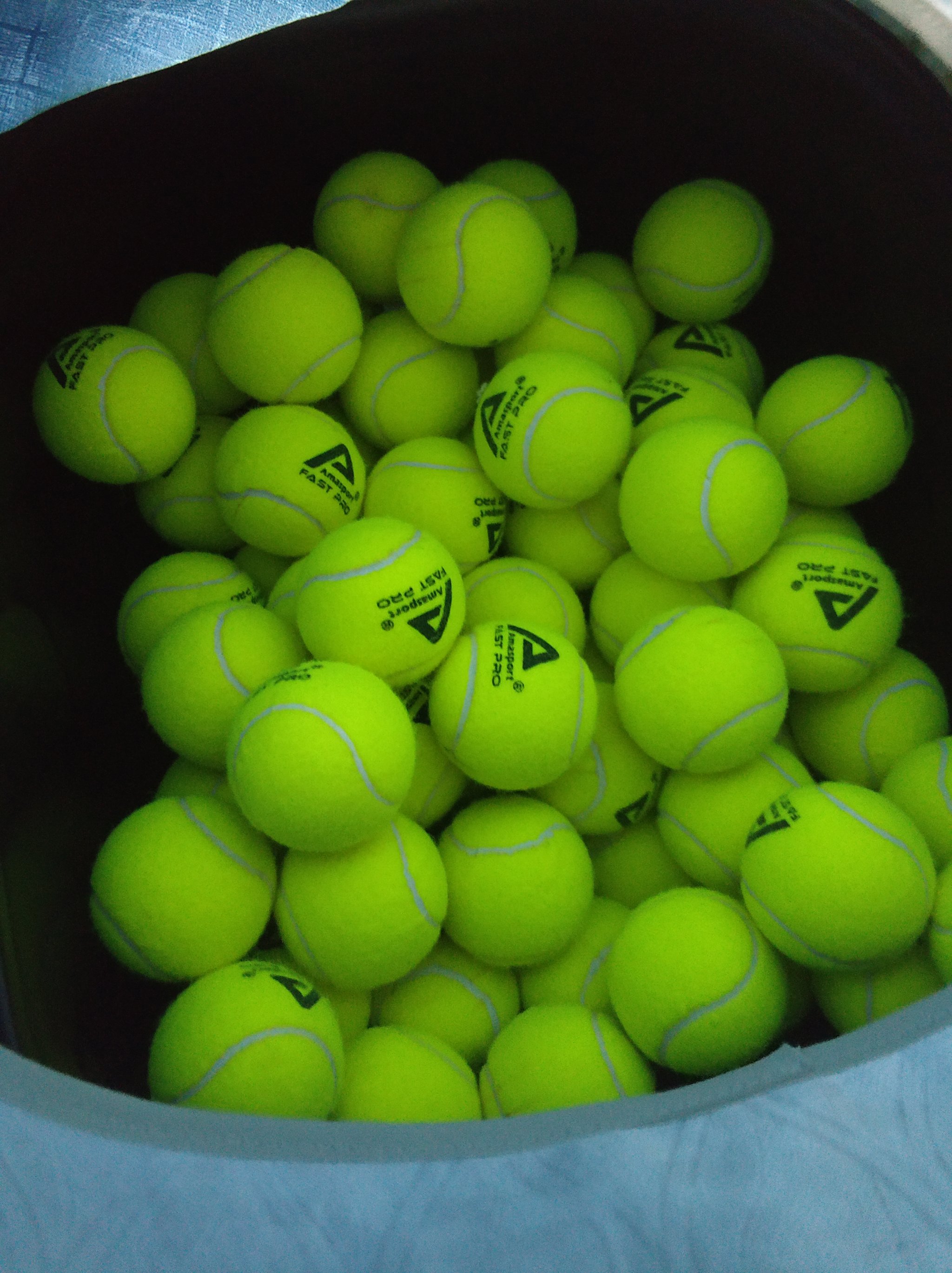 他的成功也 他的成功也