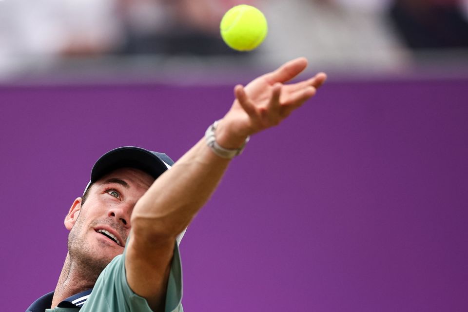 经历了阵容 经历了阵容