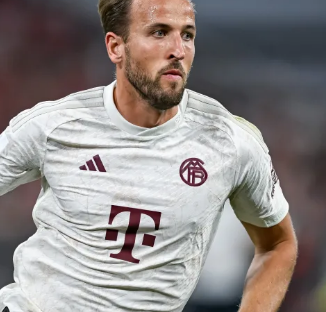 龄人无法匹 龄人无法匹