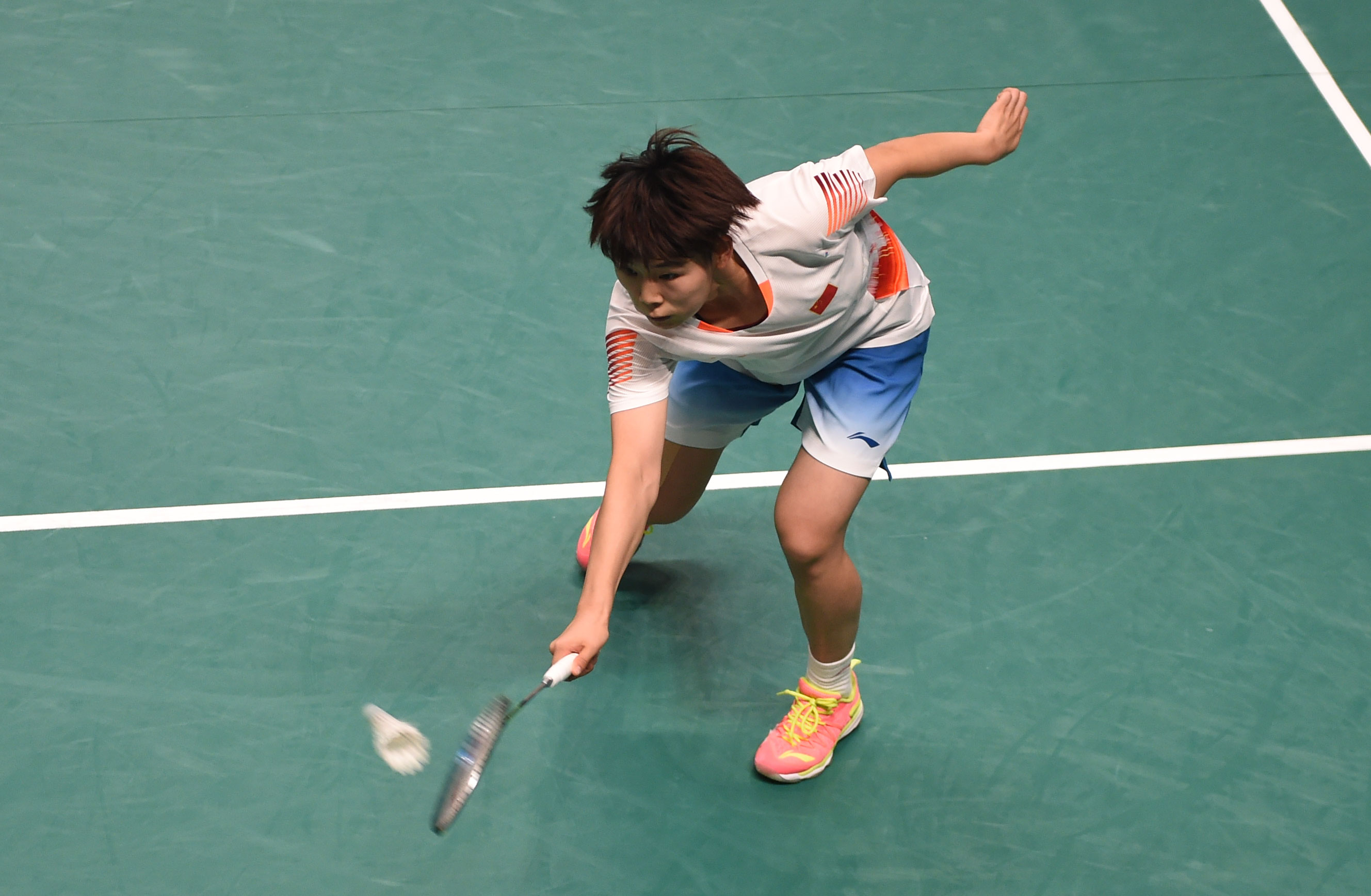 了巨大贡献 了巨大贡献